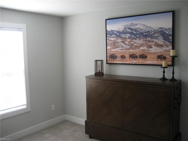 room details with carpet flooring