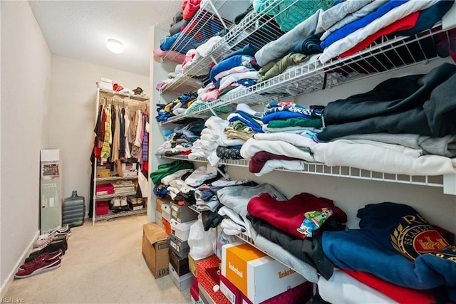 spacious closet featuring carpet floors