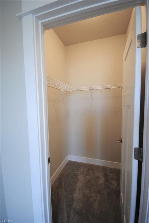 spacious closet featuring dark colored carpet