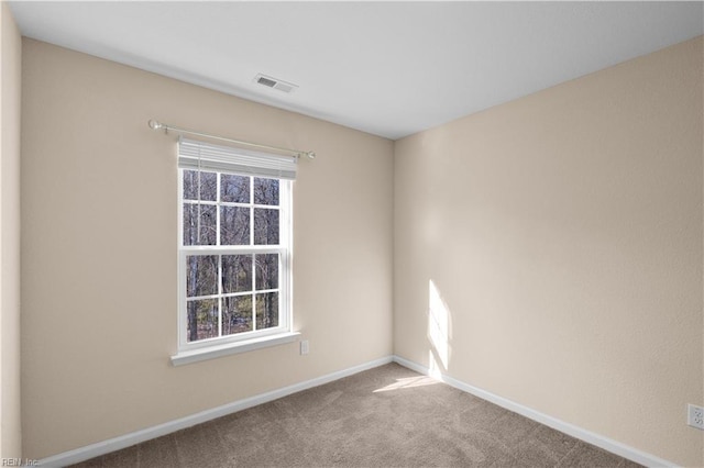 carpeted spare room with a wealth of natural light