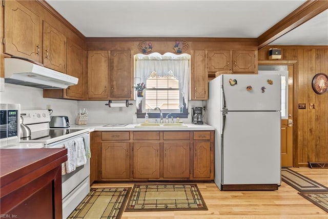 kitchen featuring light hardwood / wood-style floors, sink, and white appliances