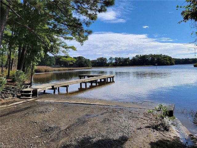 dock area with a water view