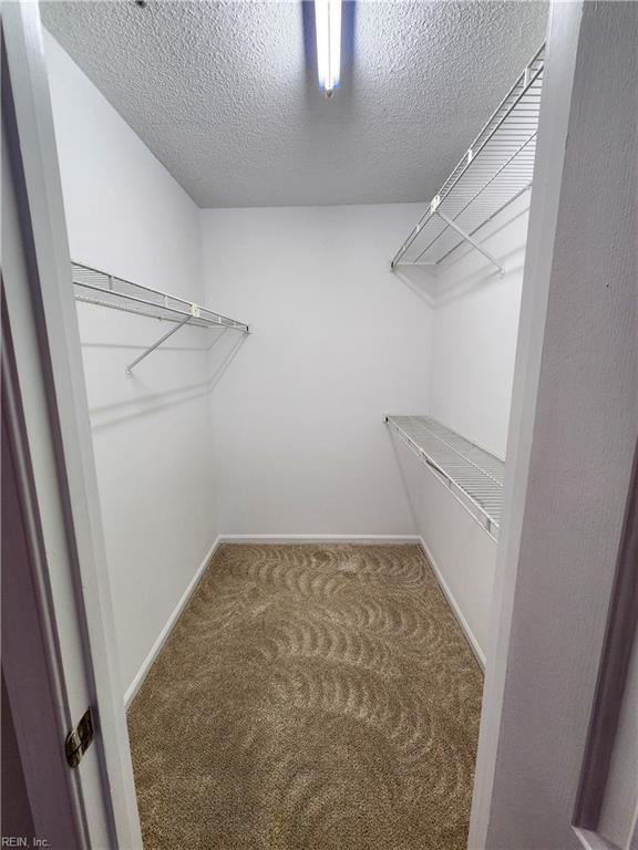 spacious closet with carpet