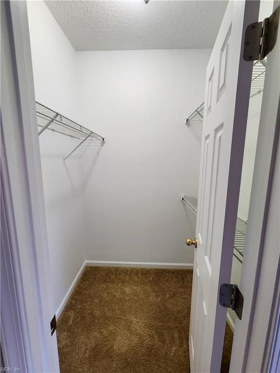 spacious closet featuring dark colored carpet