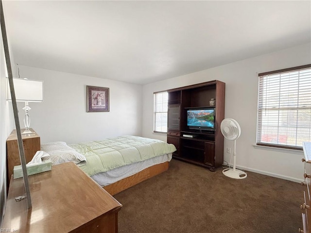 carpeted bedroom with multiple windows