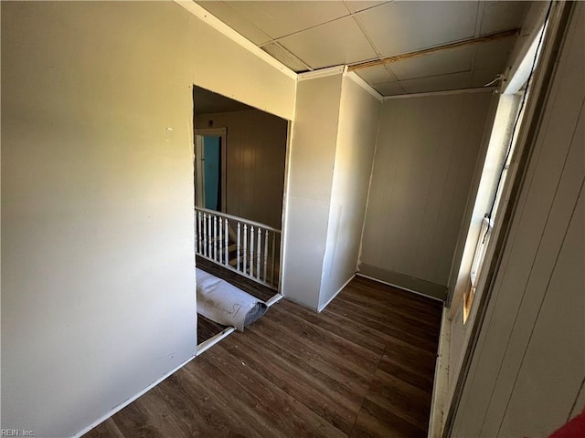 hallway featuring dark wood-type flooring and crown molding