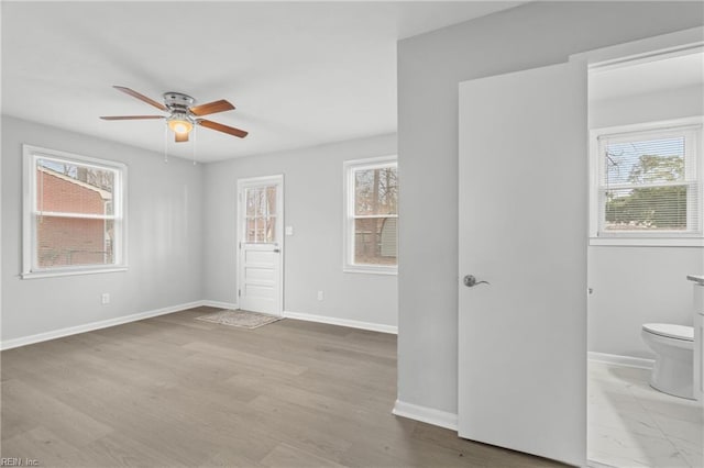 interior space featuring ceiling fan, a wealth of natural light, and light wood-type flooring