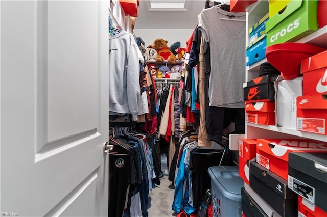 spacious closet featuring light colored carpet