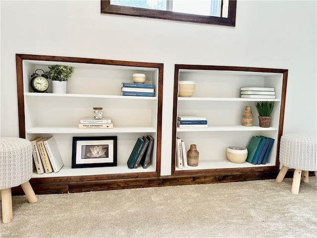 interior details with carpet flooring