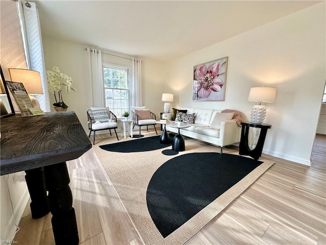 living room featuring hardwood / wood-style floors