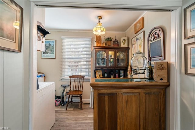 bar featuring washer / clothes dryer, light wood-type flooring, crown molding, and pendant lighting