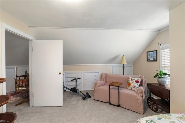 additional living space featuring light carpet and vaulted ceiling