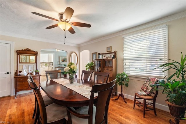 dining space with ceiling fan, ornamental molding, and light wood-type flooring