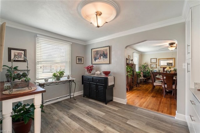 office featuring ceiling fan, wood-type flooring, and crown molding