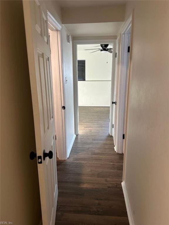 corridor featuring dark hardwood / wood-style floors