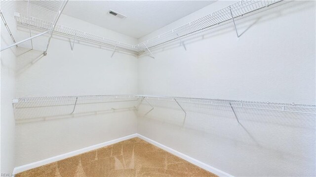 walk in closet featuring carpet flooring