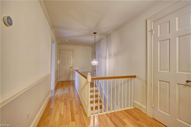 corridor featuring ornamental molding, an inviting chandelier, and light hardwood / wood-style flooring