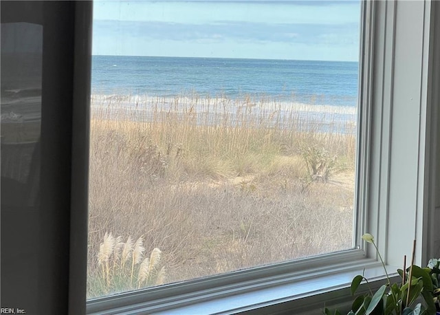 water view with a view of the beach