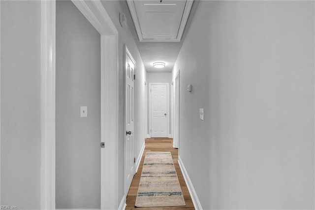 hallway featuring hardwood / wood-style flooring