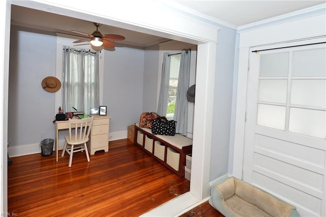 mudroom featuring ceiling fan, ornamental molding, and dark hardwood / wood-style floors