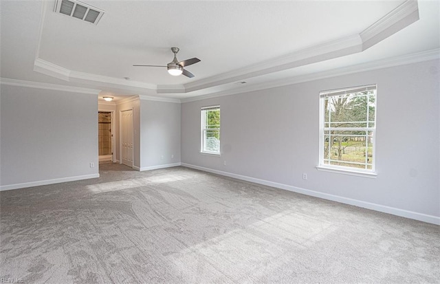 spare room with ornamental molding, a healthy amount of sunlight, and a raised ceiling