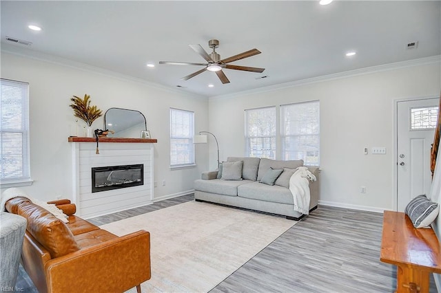 living room featuring ceiling fan, crown molding, and hardwood / wood-style floors