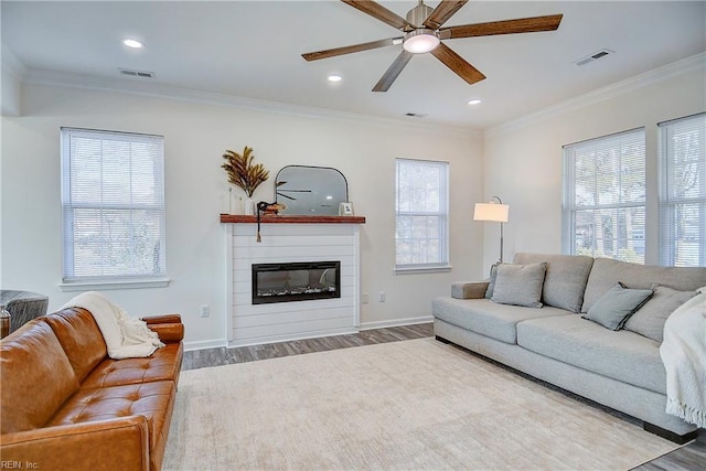 living room with ceiling fan, wood-type flooring, ornamental molding, and a healthy amount of sunlight