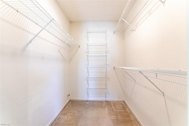 walk in closet with carpet flooring