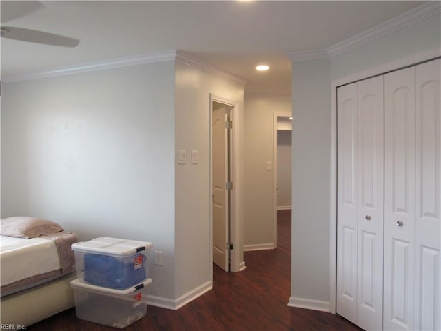 bedroom with ceiling fan, a closet, dark hardwood / wood-style flooring, and ornamental molding