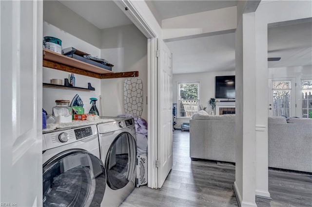 clothes washing area featuring dark wood-type flooring and independent washer and dryer