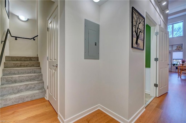 hallway with hardwood / wood-style flooring and electric panel