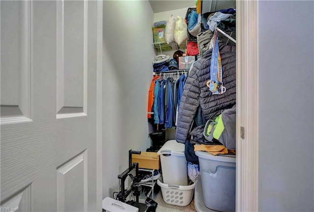 view of spacious closet