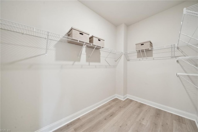 spacious closet with light hardwood / wood-style floors