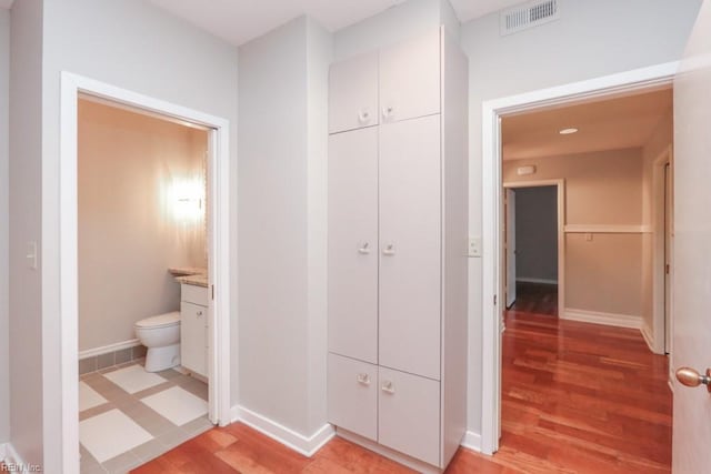 bathroom featuring wood-type flooring and vanity