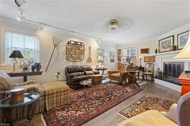 living room with crown molding, rail lighting, hardwood / wood-style floors, and ceiling fan