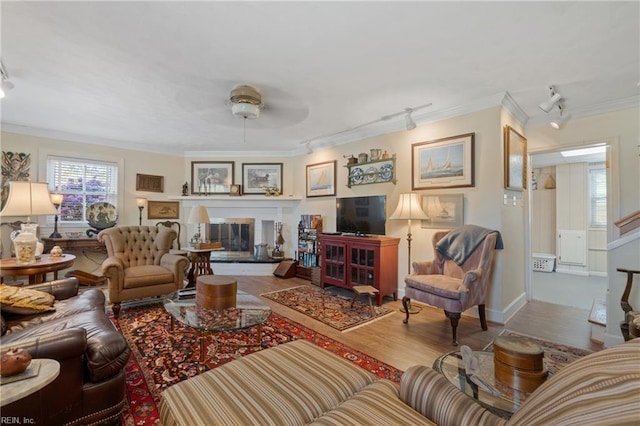 living room with ceiling fan, ornamental molding, rail lighting, and wood-type flooring