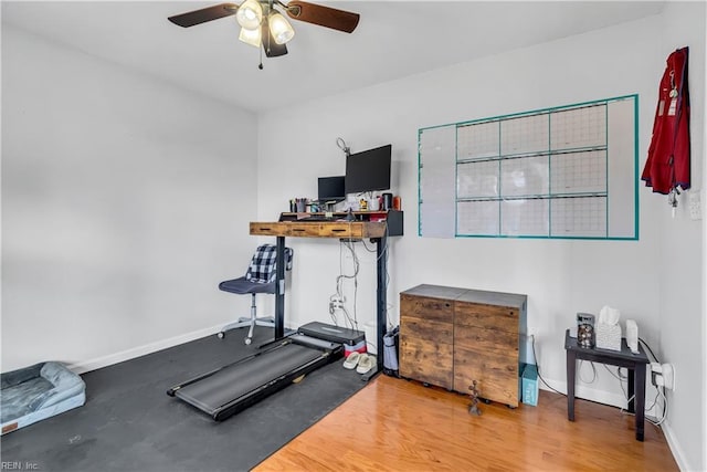 exercise area featuring ceiling fan and hardwood / wood-style floors