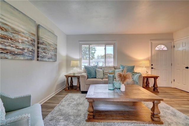 living room featuring hardwood / wood-style floors