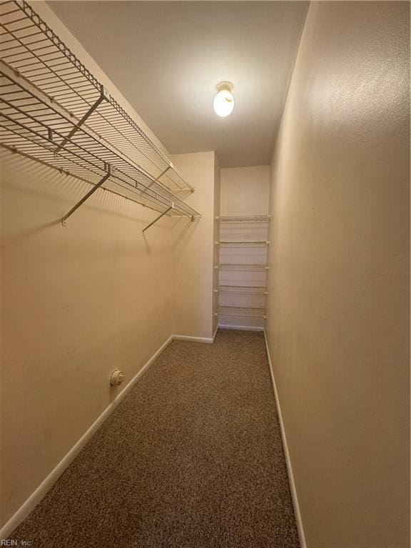 walk in closet with carpet floors