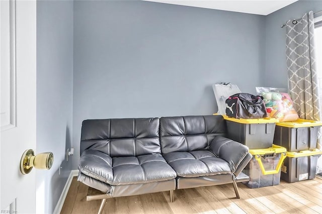 living room featuring hardwood / wood-style floors