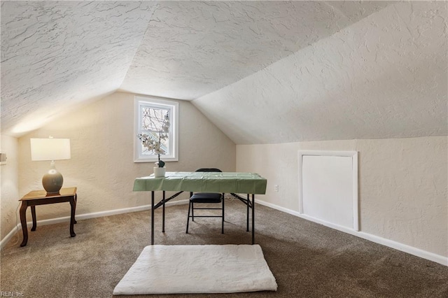 carpeted office with vaulted ceiling and a textured ceiling