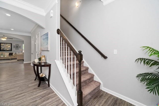 stairs featuring ceiling fan, ornamental molding, and hardwood / wood-style floors