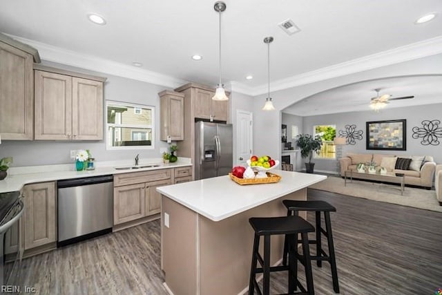 kitchen with ceiling fan, sink, appliances with stainless steel finishes, and a healthy amount of sunlight