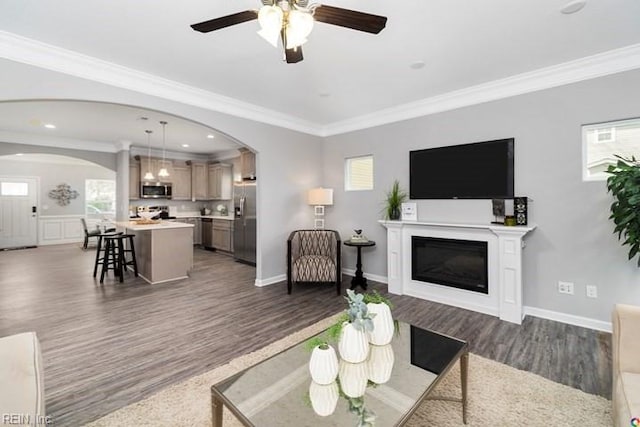 living room with ceiling fan, dark wood-type flooring, and crown molding