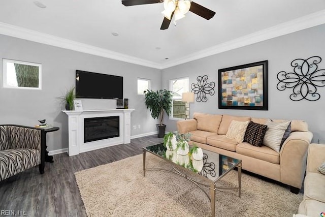 living room with ceiling fan, ornamental molding, and dark hardwood / wood-style floors