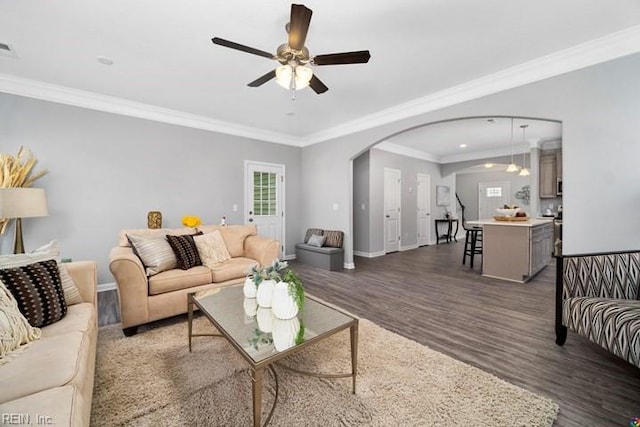 living room with ceiling fan, dark hardwood / wood-style floors, and crown molding