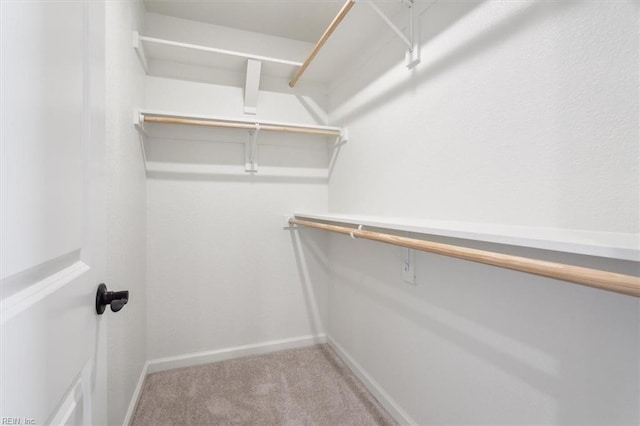 spacious closet featuring light colored carpet