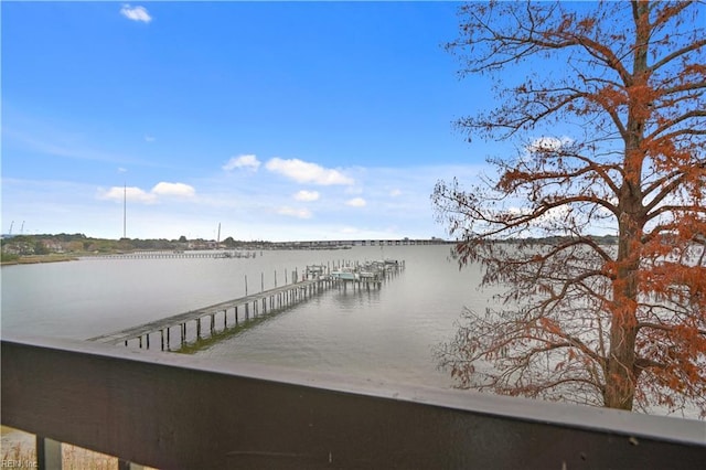 dock area with a water view