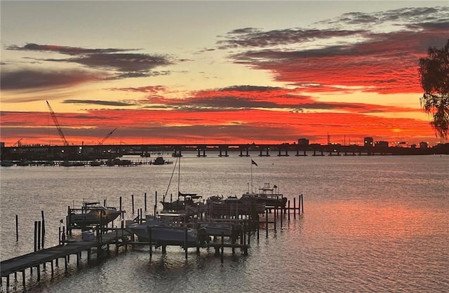 property view of water with a boat dock