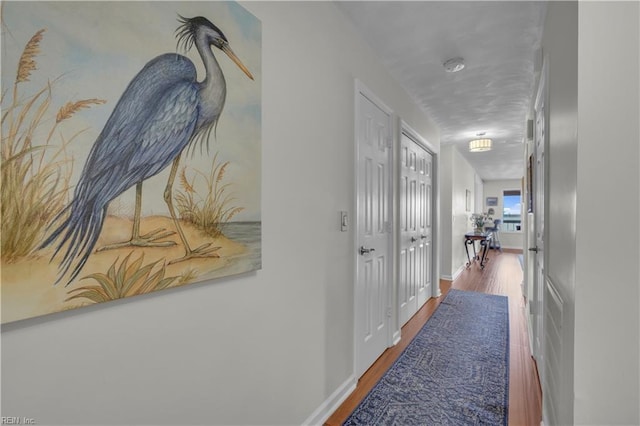 corridor featuring hardwood / wood-style floors